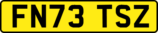 FN73TSZ