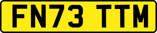 FN73TTM