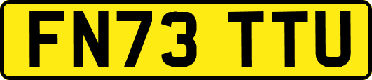 FN73TTU