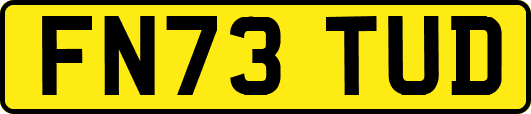 FN73TUD