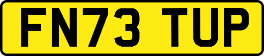 FN73TUP
