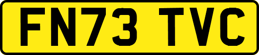 FN73TVC