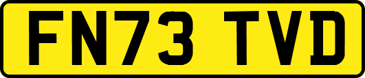 FN73TVD