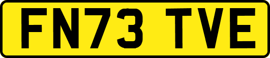FN73TVE