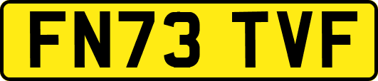 FN73TVF