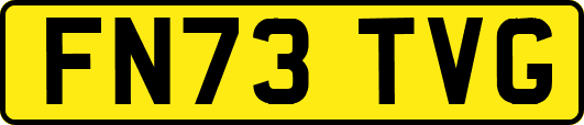 FN73TVG