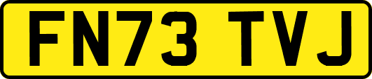 FN73TVJ