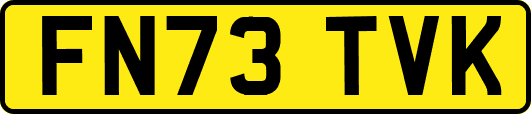 FN73TVK