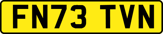 FN73TVN