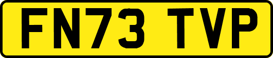 FN73TVP