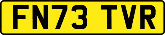 FN73TVR