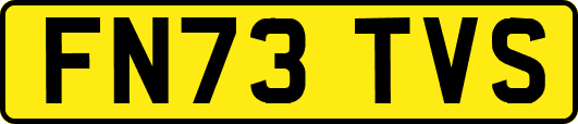FN73TVS