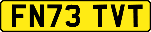 FN73TVT
