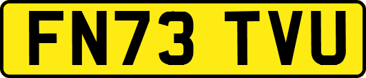 FN73TVU