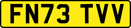 FN73TVV