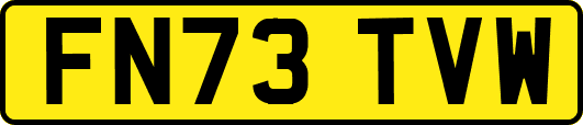 FN73TVW