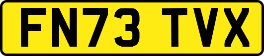 FN73TVX