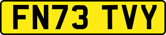 FN73TVY