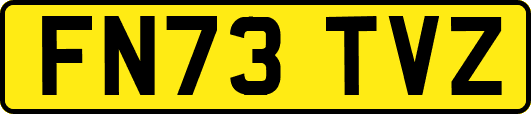 FN73TVZ