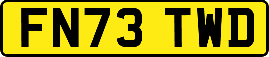 FN73TWD