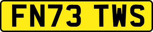 FN73TWS
