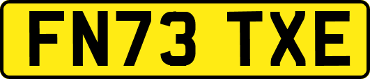 FN73TXE