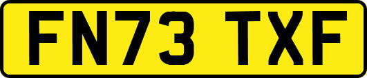 FN73TXF