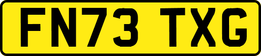 FN73TXG