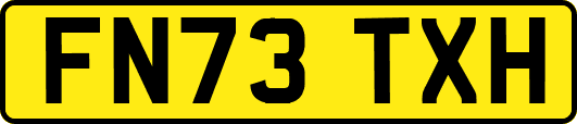 FN73TXH