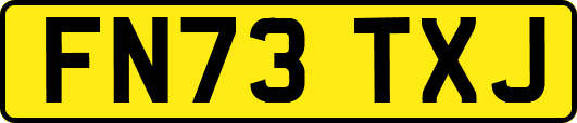 FN73TXJ