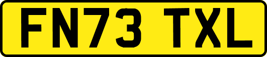 FN73TXL