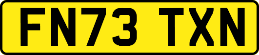 FN73TXN