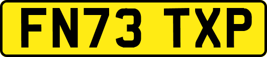 FN73TXP
