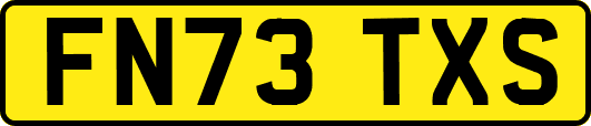 FN73TXS