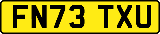 FN73TXU