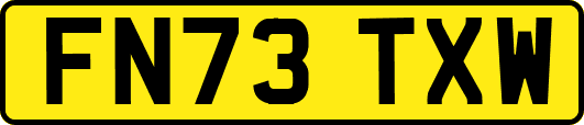 FN73TXW