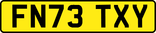 FN73TXY