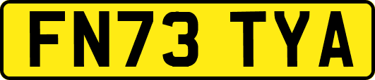 FN73TYA