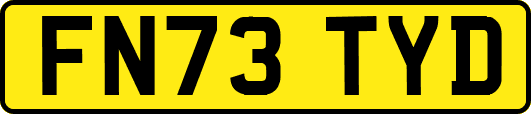 FN73TYD