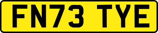 FN73TYE