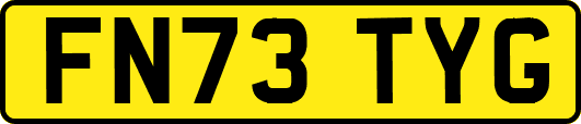 FN73TYG