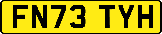 FN73TYH