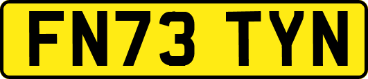 FN73TYN