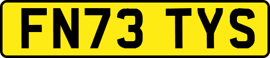 FN73TYS