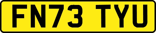 FN73TYU