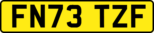FN73TZF