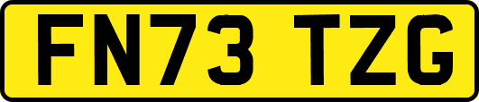 FN73TZG