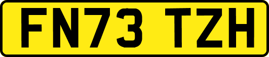 FN73TZH