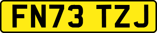 FN73TZJ