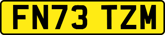 FN73TZM